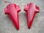 reynard873noseconespal9